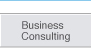 Business Consulting